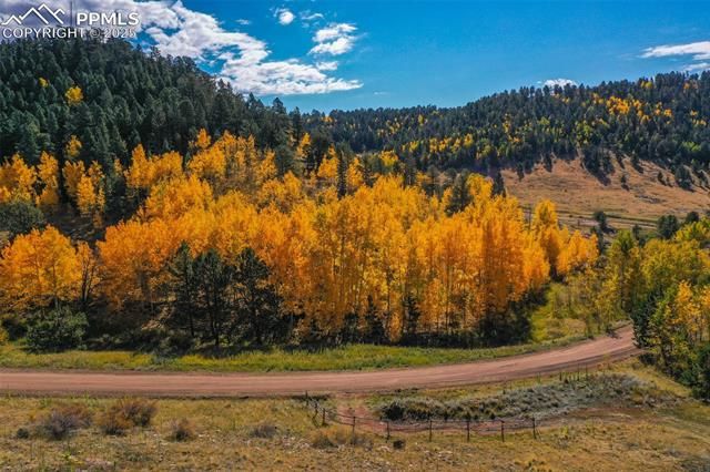 230 Penrose Circle, Cripple Creek, CO 80813