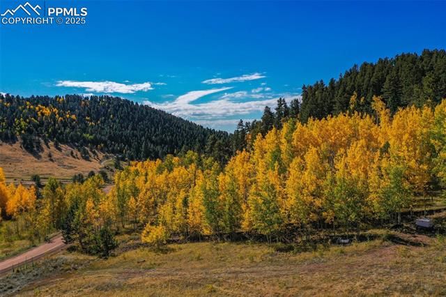 230 Penrose Circle, Cripple Creek, CO 80813