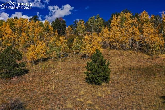 230 Penrose Circle, Cripple Creek, CO 80813