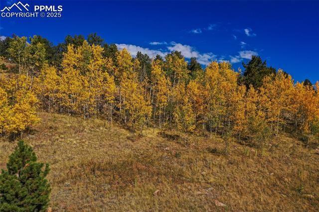 230 Penrose Circle, Cripple Creek, CO 80813