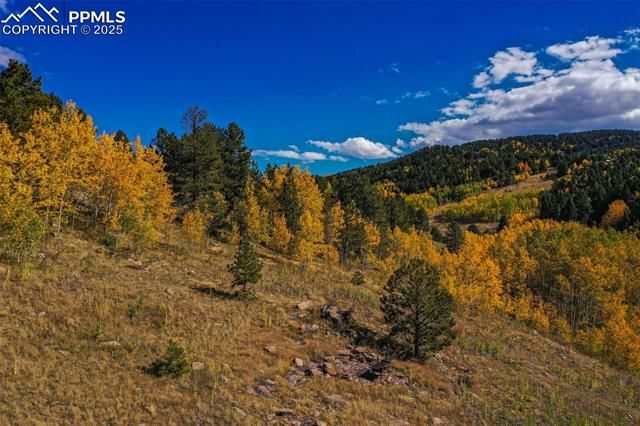 230 Penrose Circle, Cripple Creek, CO 80813