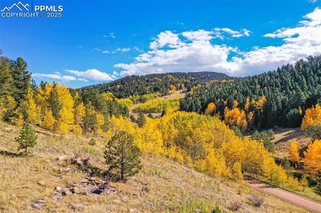 230 Penrose Circle, Cripple Creek, CO 80813