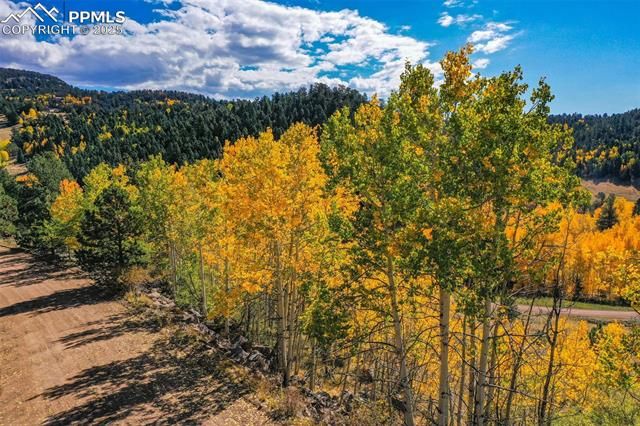 230 Penrose Circle, Cripple Creek, CO 80813