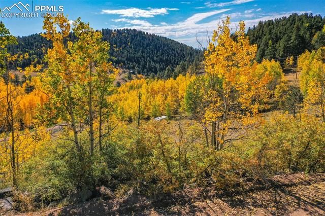 230 Penrose Circle, Cripple Creek, CO 80813