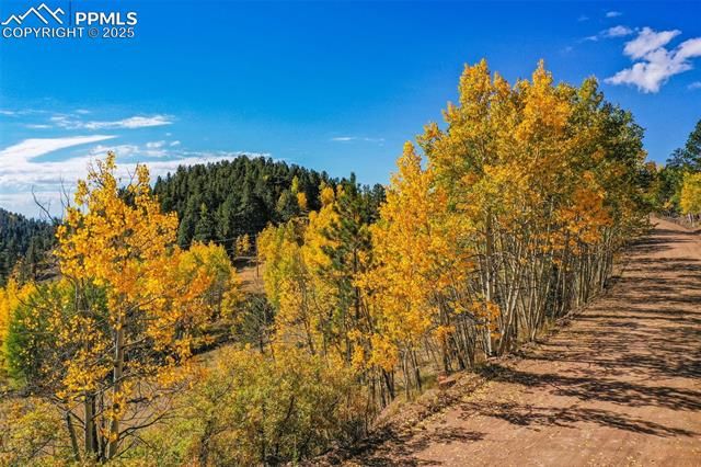 230 Penrose Circle, Cripple Creek, CO 80813