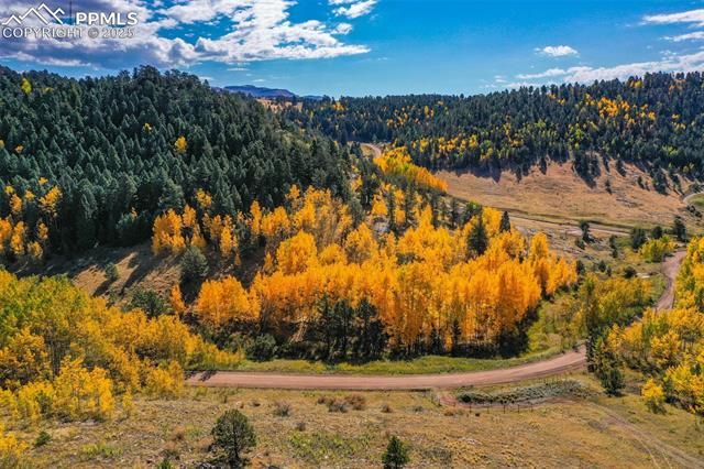 230 Penrose Circle, Cripple Creek, CO 80813