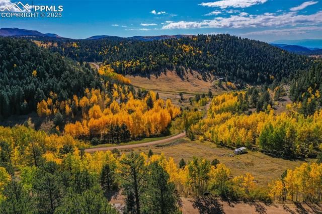 230 Penrose Circle, Cripple Creek, CO 80813