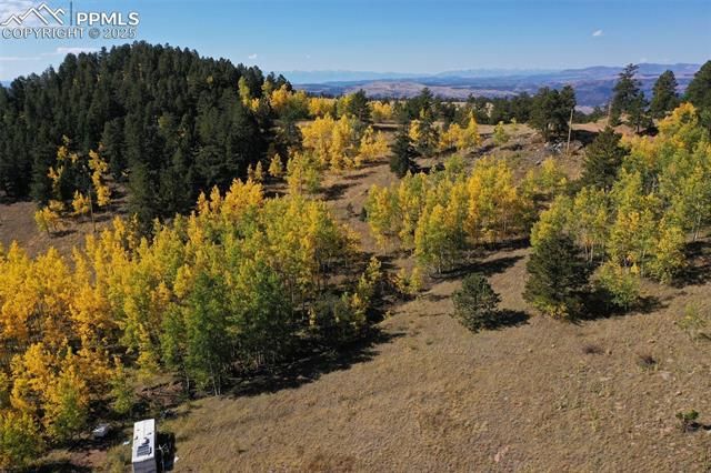 230 Penrose Circle, Cripple Creek, CO 80813