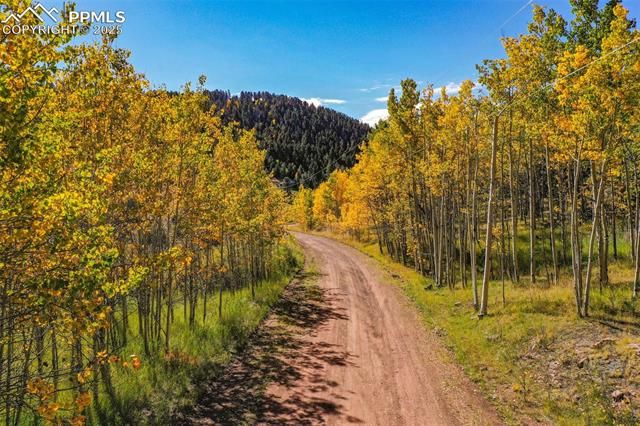 230 Penrose Circle, Cripple Creek, CO 80813