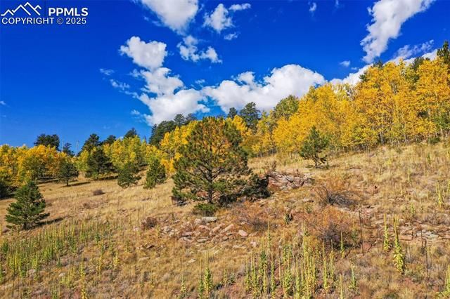 230 Penrose Circle, Cripple Creek, CO 80813