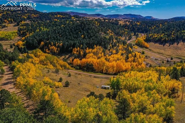 230 Penrose Circle, Cripple Creek, CO 80813
