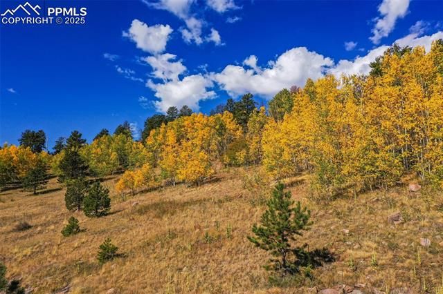 230 Penrose Circle, Cripple Creek, CO 80813