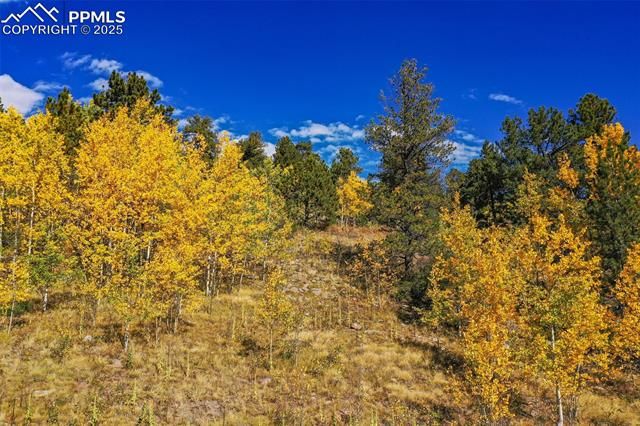 230 Penrose Circle, Cripple Creek, CO 80813