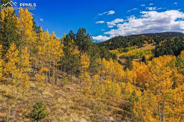 230 Penrose Circle, Cripple Creek, CO 80813