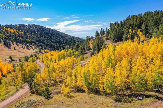 230 Penrose Circle, Cripple Creek, CO 80813