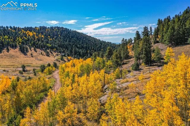 230 Penrose Circle, Cripple Creek, CO 80813