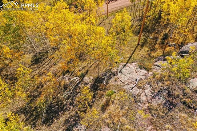 230 Penrose Circle, Cripple Creek, CO 80813