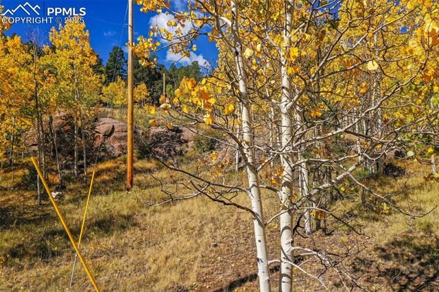 230 Penrose Circle, Cripple Creek, CO 80813