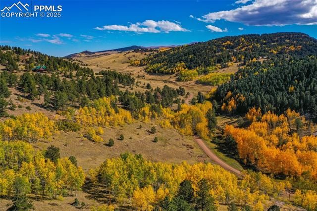 230 Penrose Circle, Cripple Creek, CO 80813