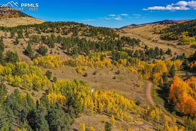 230 Penrose Circle, Cripple Creek, CO 80813