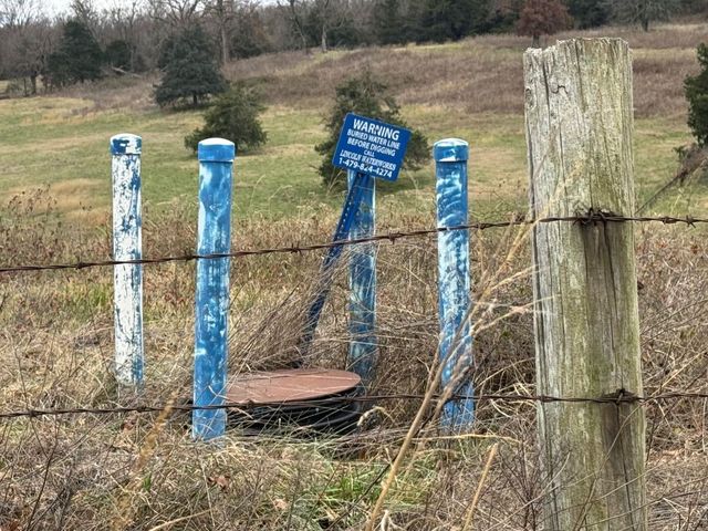 Tract A-1 Nicewarner Road, Lincoln, AR 72744