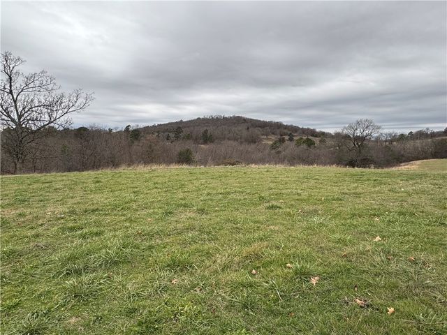 Tract A-1 Nicewarner Road, Lincoln, AR 72744