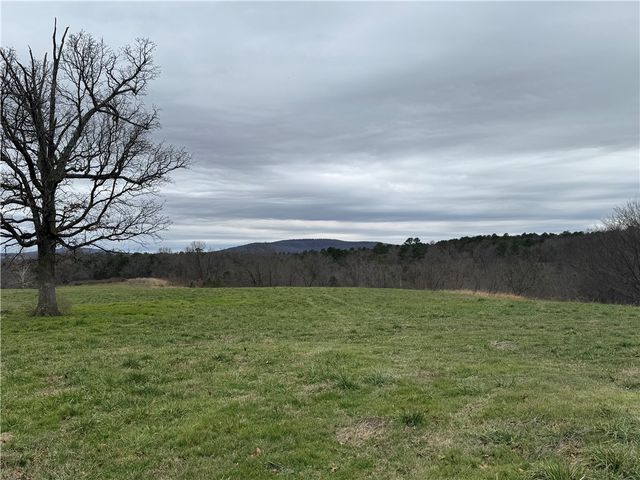 Tract A-1 Nicewarner Road, Lincoln, AR 72744