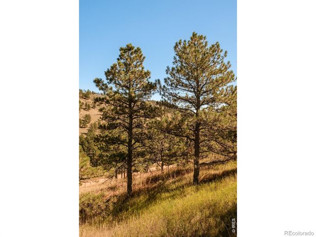 6365 Red Hill Road, Boulder, CO 80302