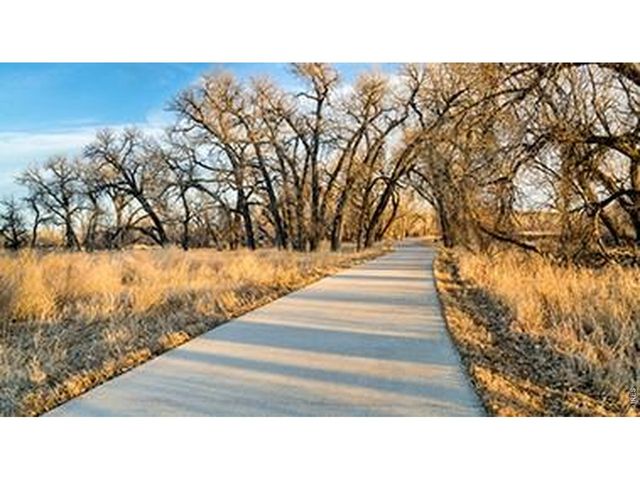 648 Noola St, Windsor, CO 80550