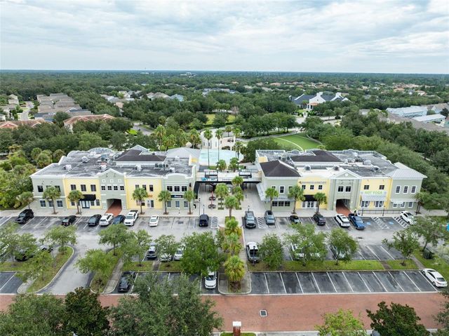 16007 LONEOAK VIEW DRIVE, Lithia, FL 33547