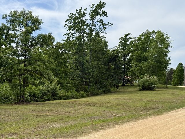 131 Gatlyn Ln, Hohenwald, TN 38462