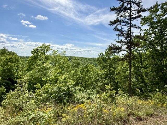 131 Gatlyn Ln, Hohenwald, TN 38462