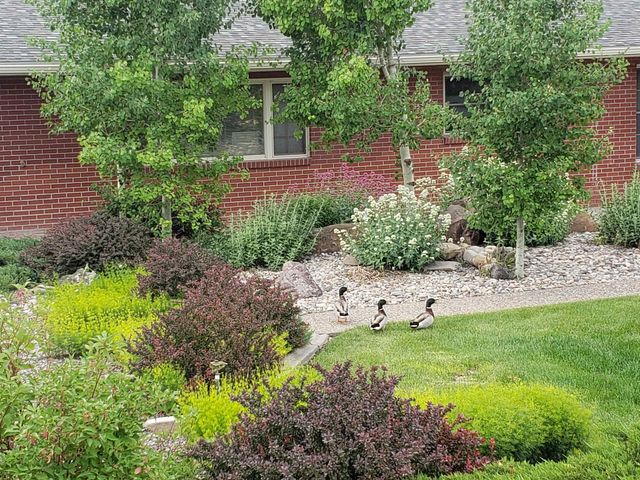 685 Crestridge Drive, Grand Junction, CO 81506