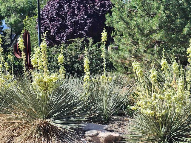 685 Crestridge Drive, Grand Junction, CO 81506