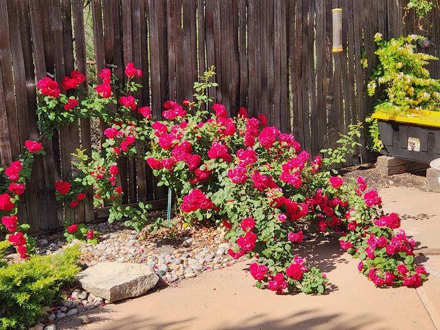 685 Crestridge Drive, Grand Junction, CO 81506