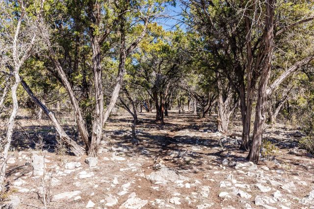 118 Buffalo Springs RD, New Braunfels, TX 78132