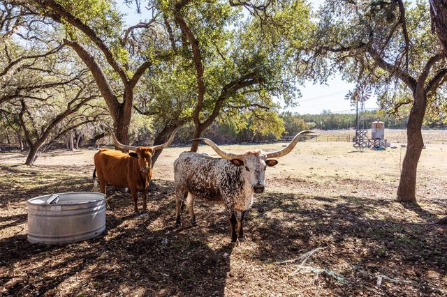 118 Buffalo Springs RD, New Braunfels, TX 78132