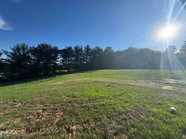 439 Tortoise Way, Jonesborough, TN 37659