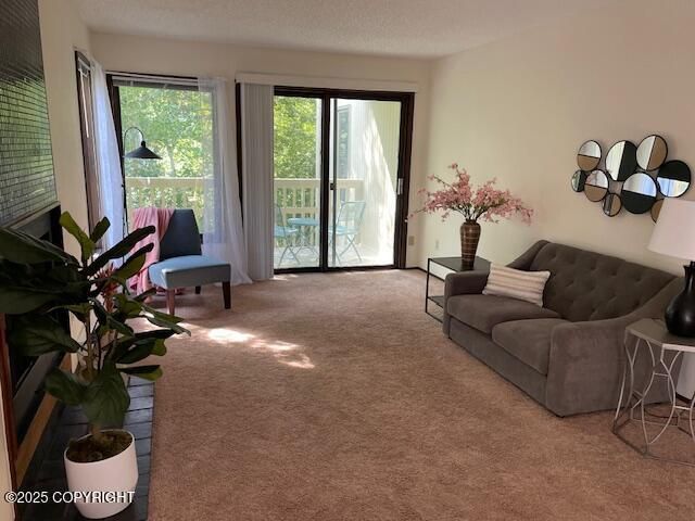 2714 Forest Park Drive, Anchorage, AK 99517
