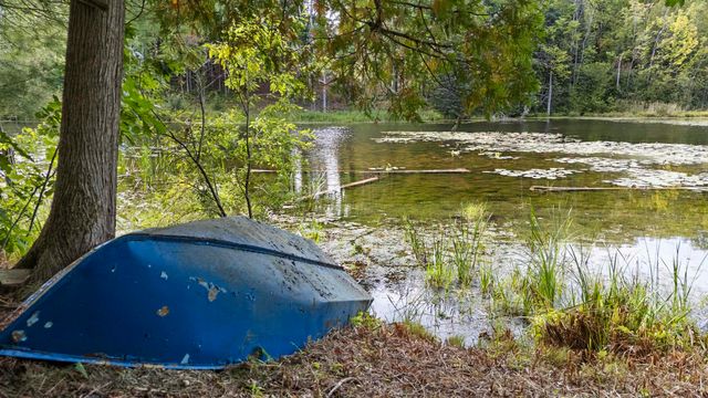 18750 W Knapp Road, Reed City, MI 49677