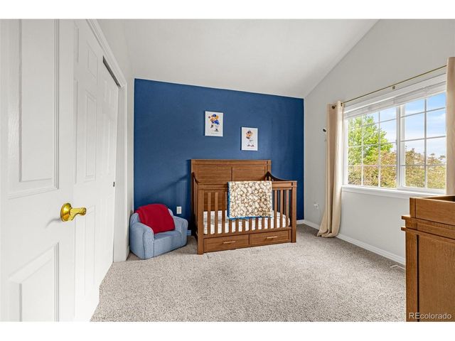 16128 Amber Rock Ct, Parker, CO 80134
