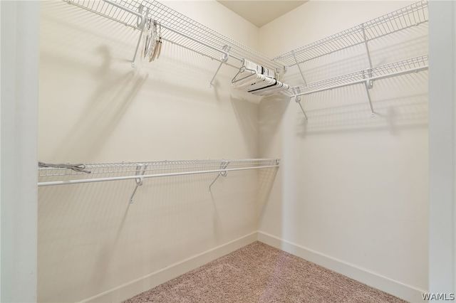 7607 The Terrace, Northport, AL 35473