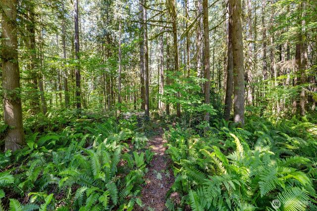 8738 Timberland Court, Concrete, WA 98237