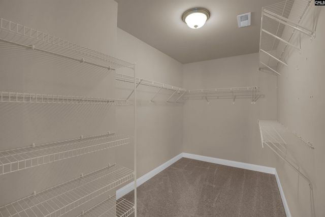 234 Thacher Loop, Elgin, SC 29045