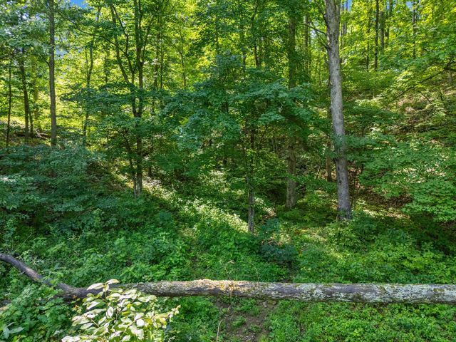 1100 Doublegate Road, Jeffersonville, KY 40337