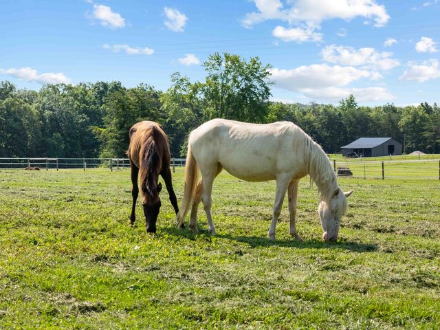 1100 Doublegate Road, Jeffersonville, KY 40337