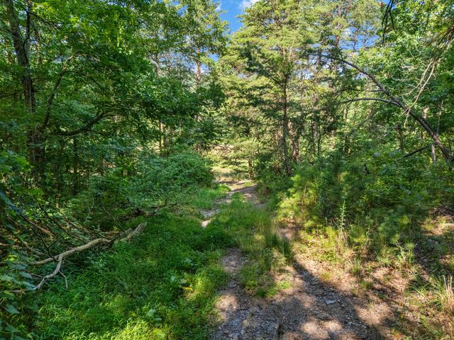 1100 Doublegate Road, Jeffersonville, KY 40337