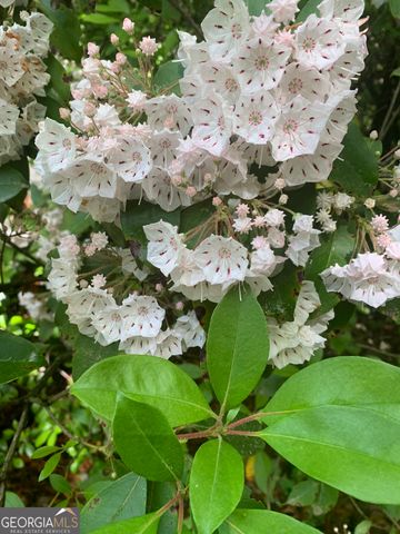 0 Creek Camp Road, Ellijay, GA 30536