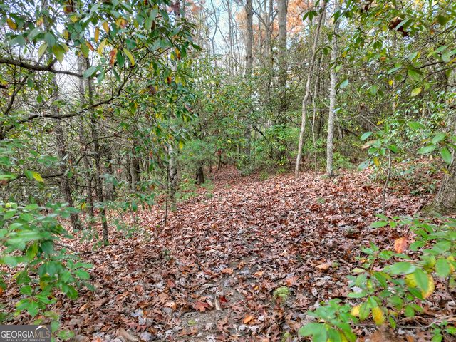 0 Creek Camp Road, Ellijay, GA 30536