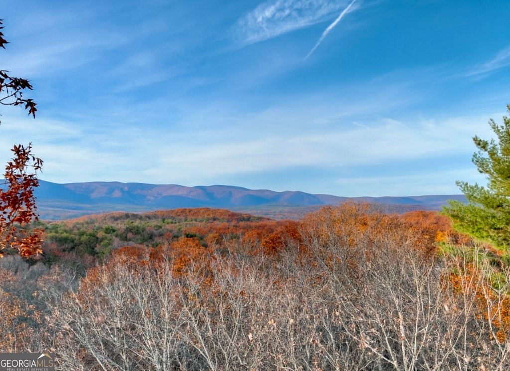 0 Creek Camp Road, Ellijay, GA 30536